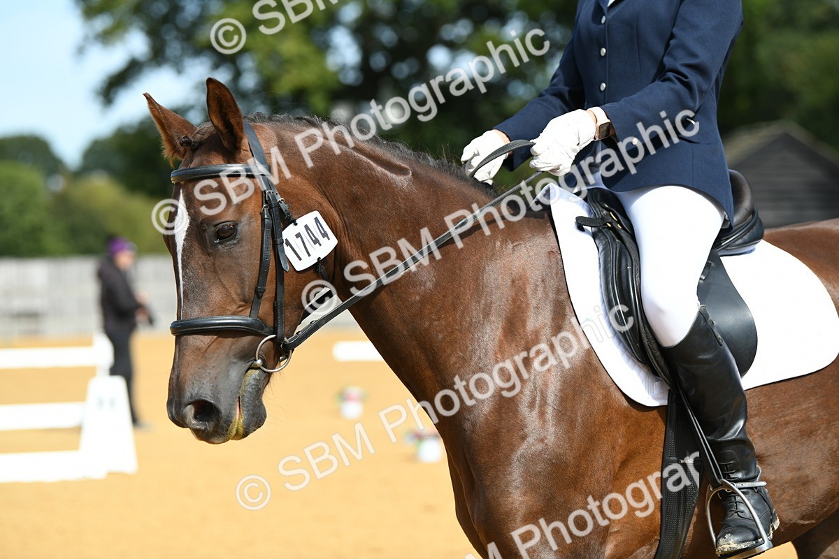 SBM_20849 - D13 - Grand Tour Championship - Prelim 12