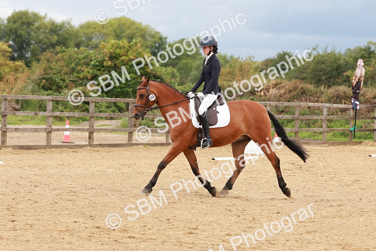 SBM_002684 - Novice 2