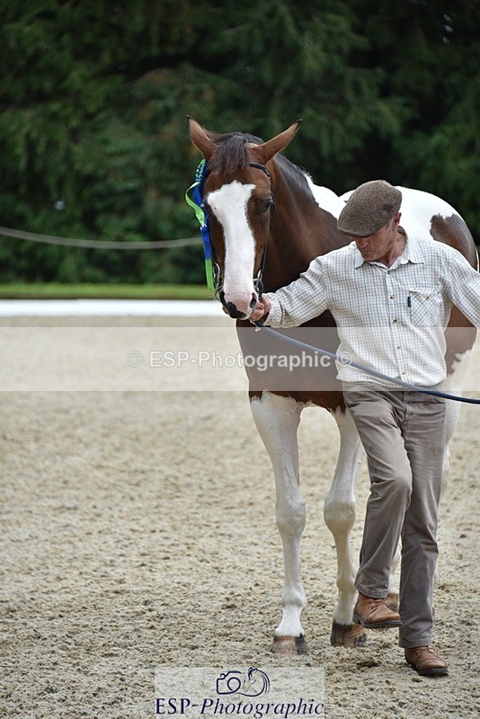 230812-144724-04854 - Novice Silver Presentations
