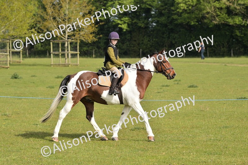 20260426-0865 - Class 18 - Novice Showing