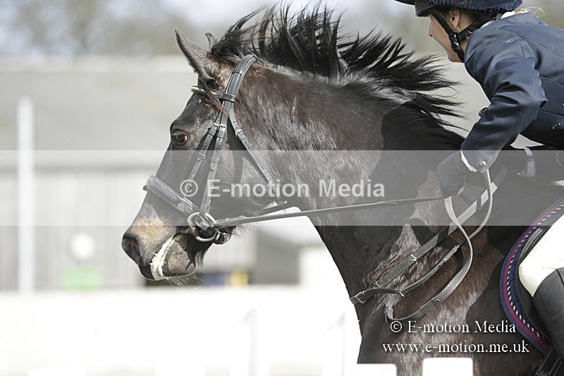 BVRC 050320 0114 - Bourne Valley riding Club Show Jumping Tidworth 08/03/20