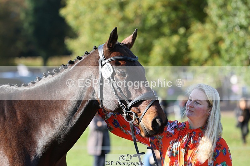 241027-092757-15315 - 420-Pip.Howarth-OTTAVA