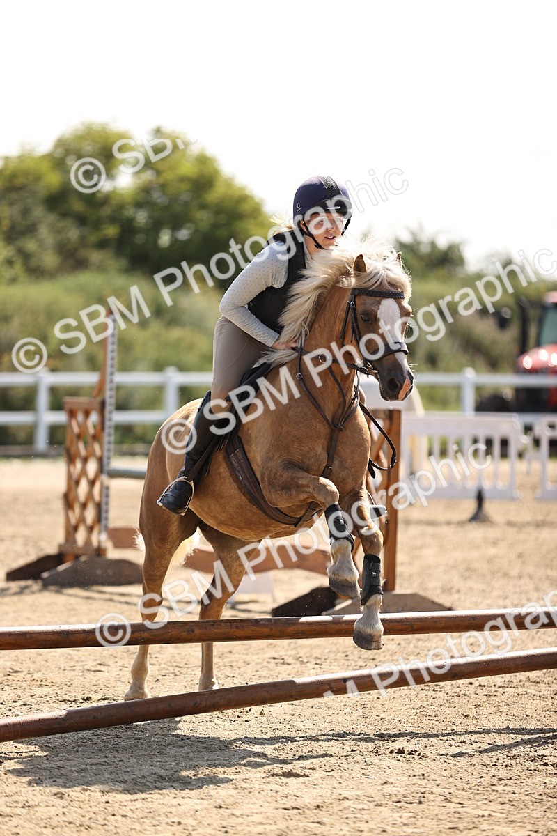 SBM_001219 - AE - 50cm