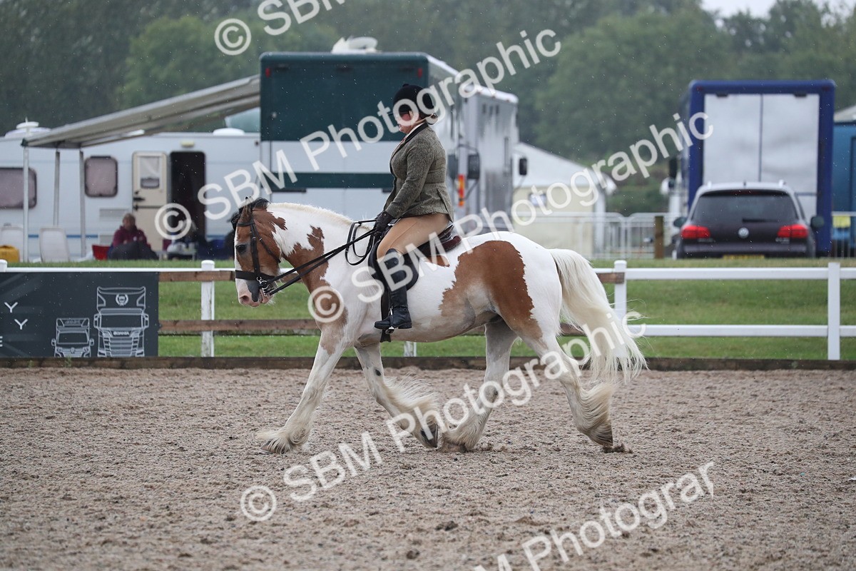 SBM_20486 - Class 601 - 2025 Area - Ridden Diamond
