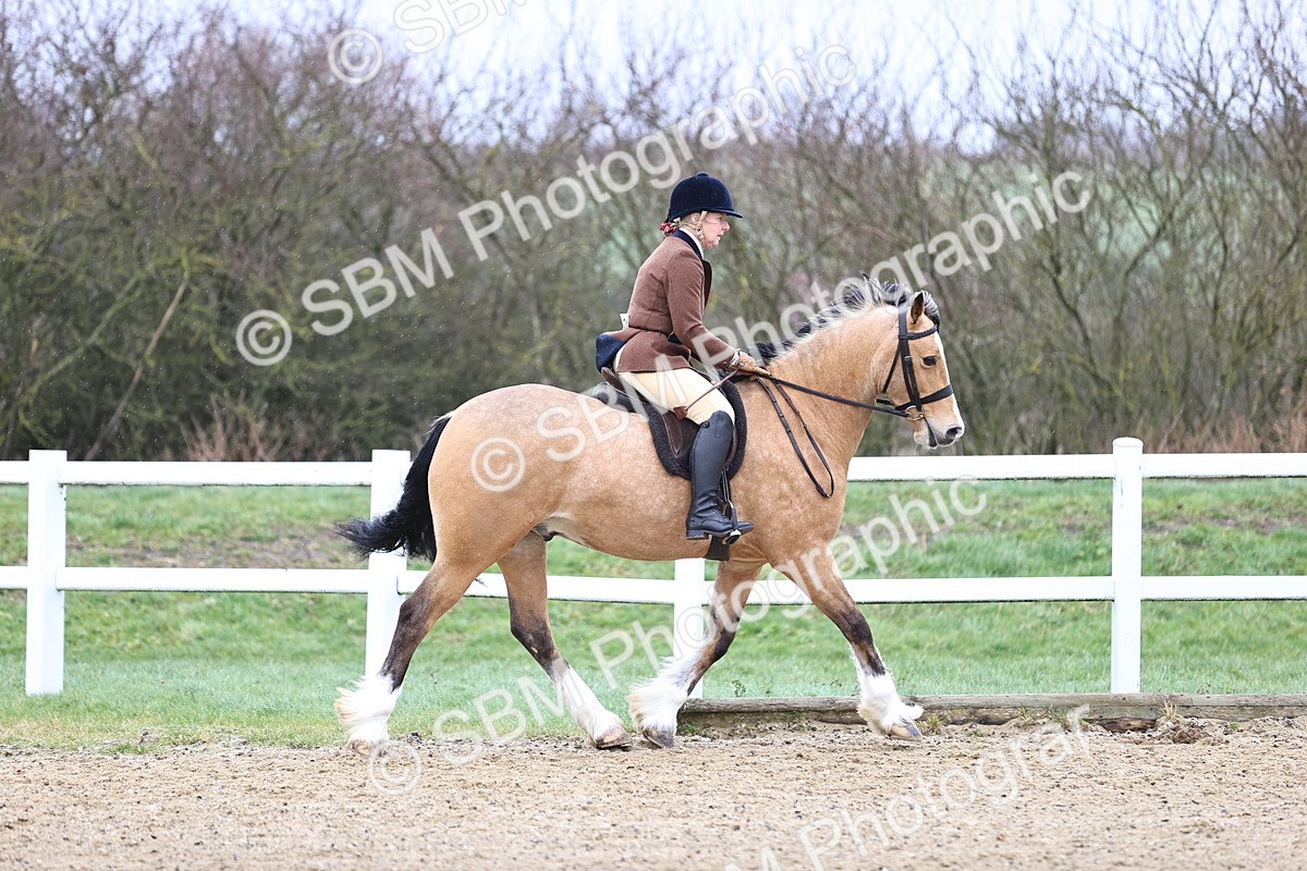 SBM_007508 - Class 31-32 - M&M Confined Novice Small-Large