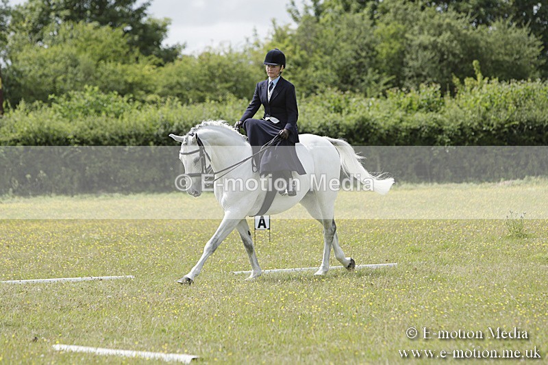 BVR160717-2061 - Class 4 & 5 Dressage 16/07/17