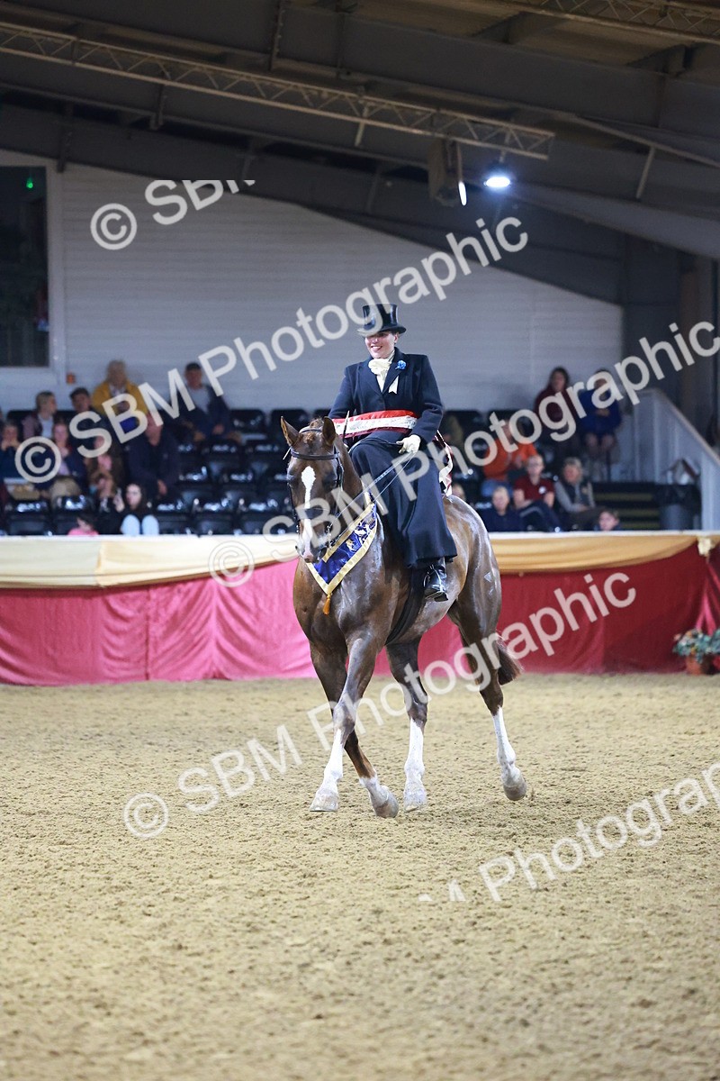 SBM_15050 - Class N - Side Saddle Champ