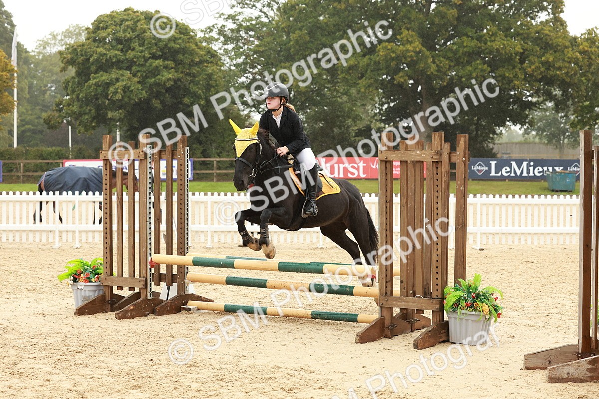 SBM_73313 - Supreme Championship Junior Pony 60cm & 65cm