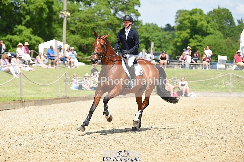 230528-121230-15582 - 318-JUST_HAVE_FAITH_TN-Alfie_Marshall-SUNTrotUp+SJ