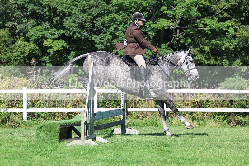 3E7A8284 - Class 4: Novice working Hunter