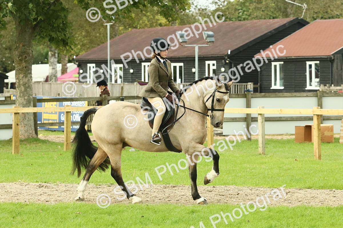 SBM_74000 - S 61 - Show Pony & Show Hunter Pony Ridden