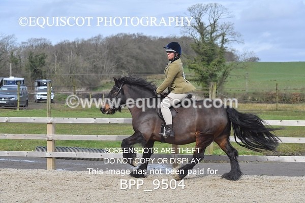 BPP_9504 - RING 2 - M&M