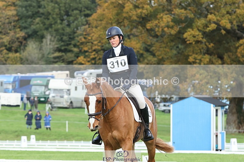 251023A-104850-03236 - D-310-Emily.R.Vincent