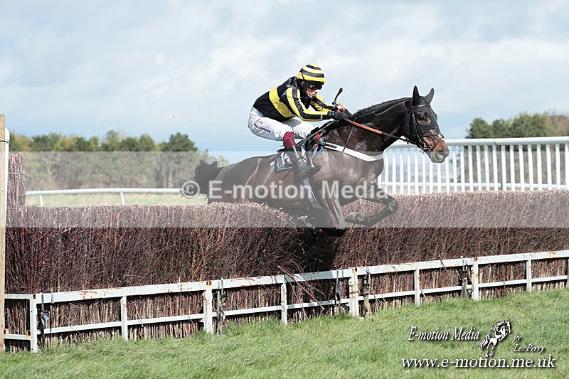 PtP 230324 278 - Tedworth Hunt PtP Larkhill Raccourse 23rd March 2024