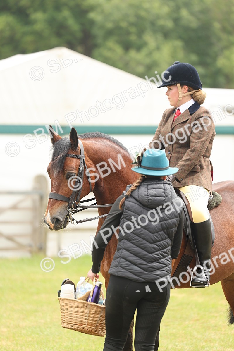SBM_07220 - Class 76-77 - Ridden M&M Welsh Ponies