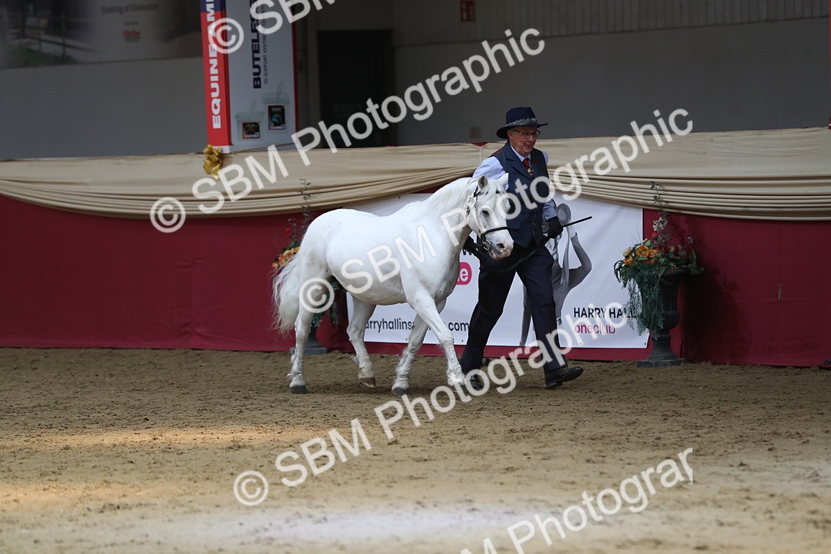 SBM_04934 - Class 8R- Regional -IH Veteran
