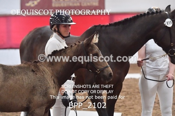 BPP_2102 - AFTERNOON 12.30 - 3.30PM