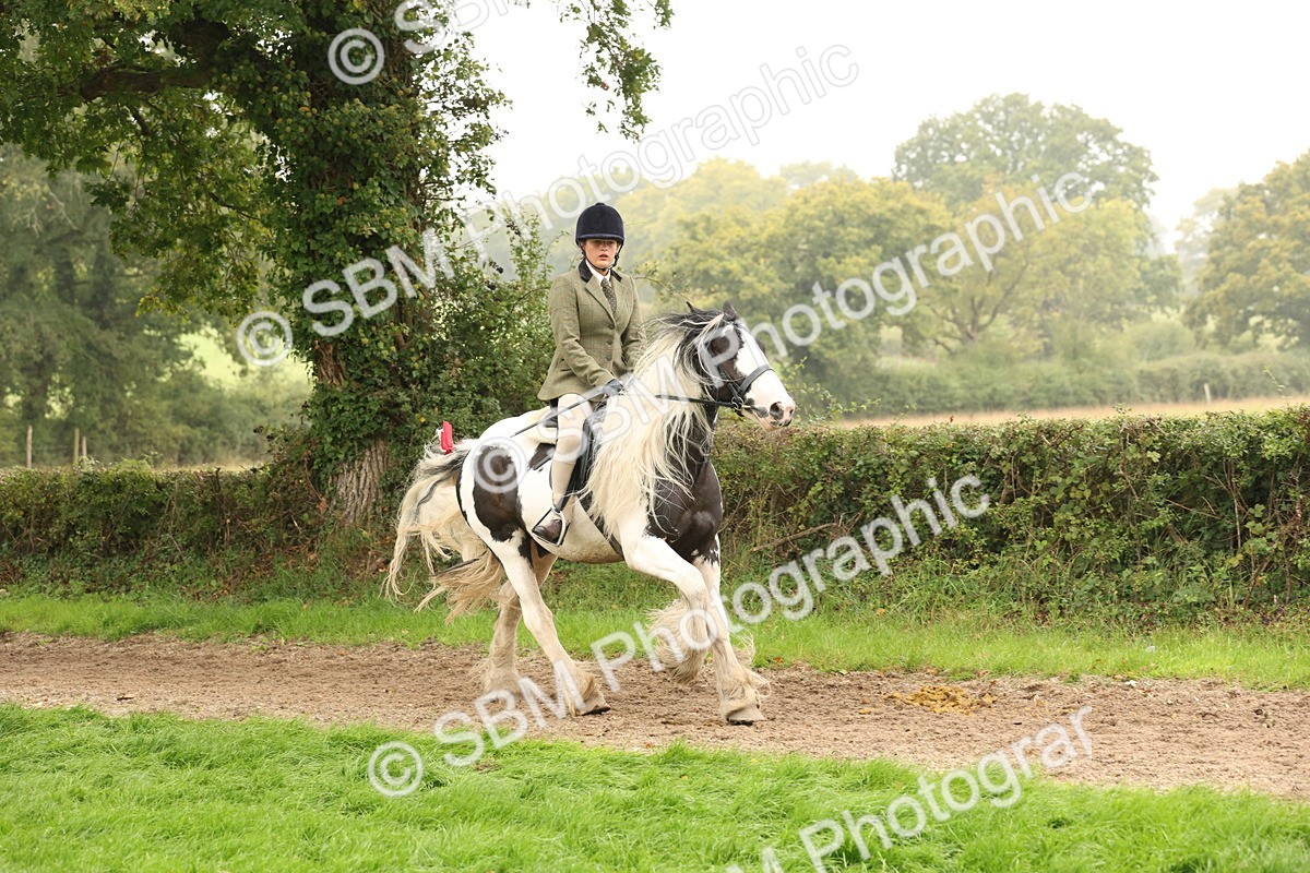 SBM_72704 - S70 - Traditional Cob Ridden