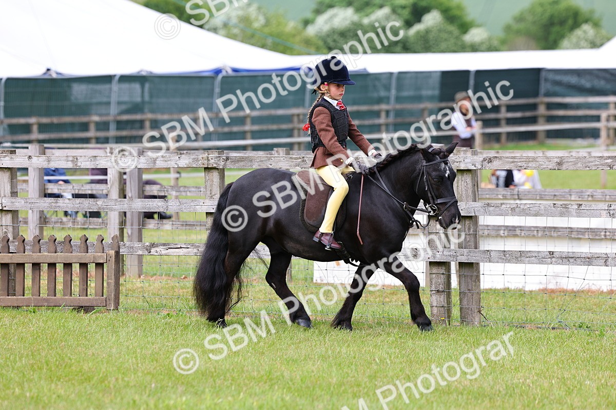 SBM_09448 - Class 44-45 - LIHS BSPS Open Nursery and Cradle Stakes
