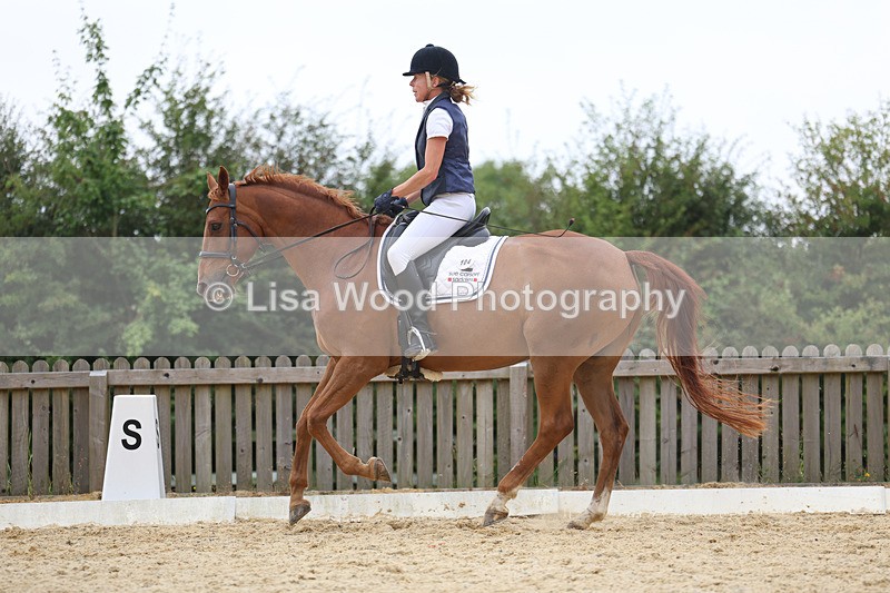 3E7A7214 - Class 9: Elementary 4 2024 - No sections