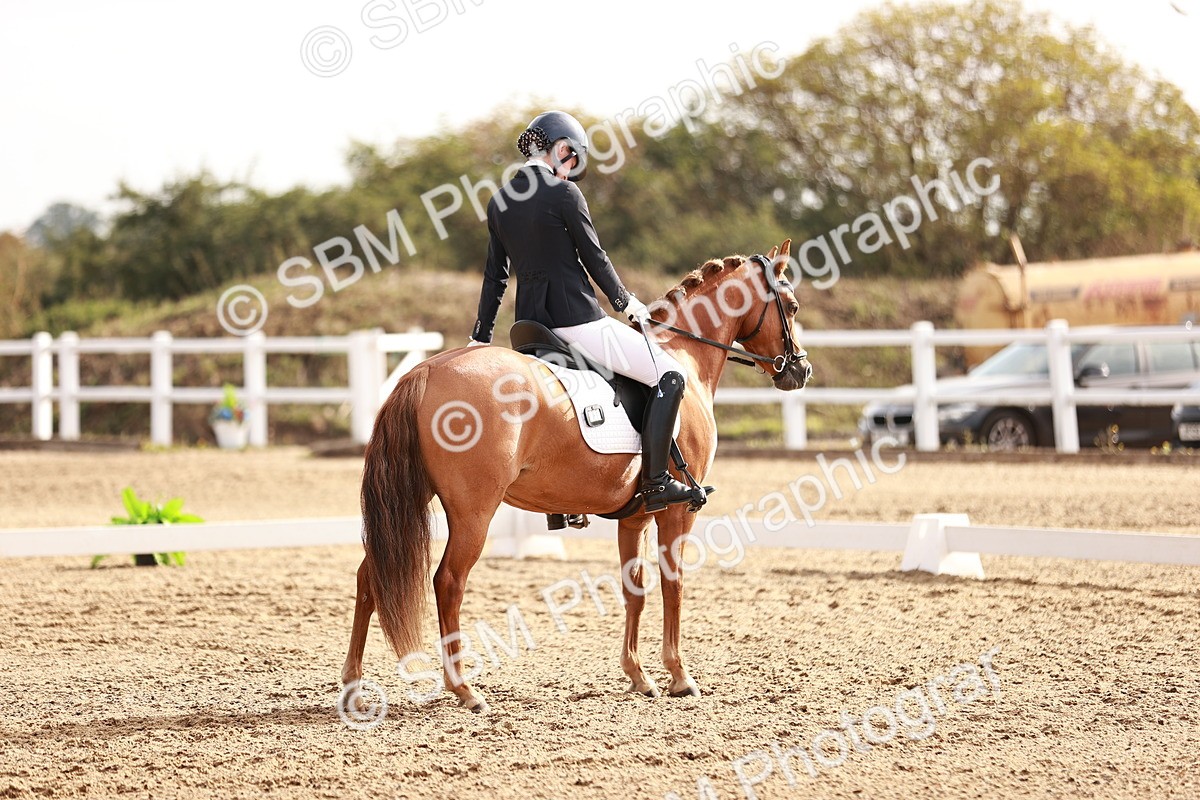 SBM_016921 - Class 10 - Medium 6