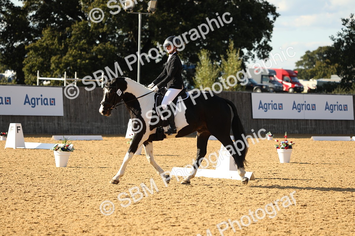SBM_28512 - D20 - Grand Tour Championship - Elementary 44