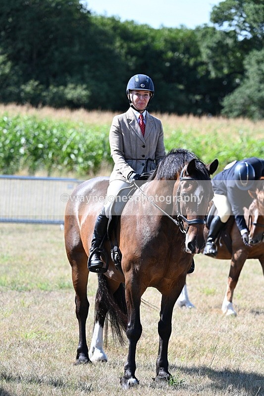 WJ7_3633 - Class 9 Mountain & Moorland Ridden