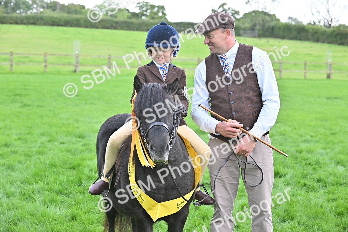 SBM_40147 - S20 - Lead Rein Mountain & Moorland Pony
