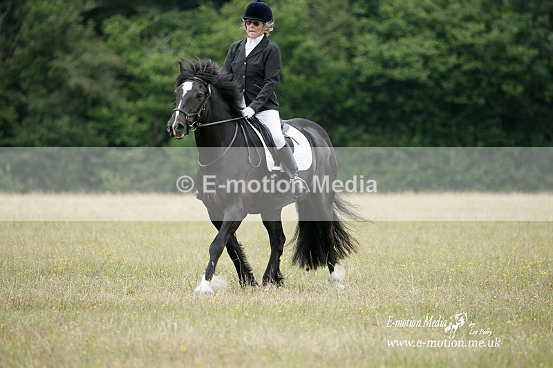BVRC 030721 58 - Bourne Valley Riding Club Dressage 03/07/21