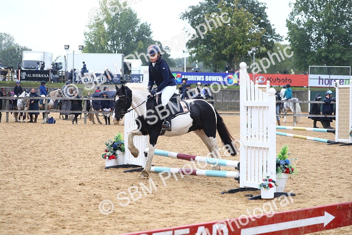 SBM_71543 - J4 - Mini Tour Junior Pony 45cm Championship