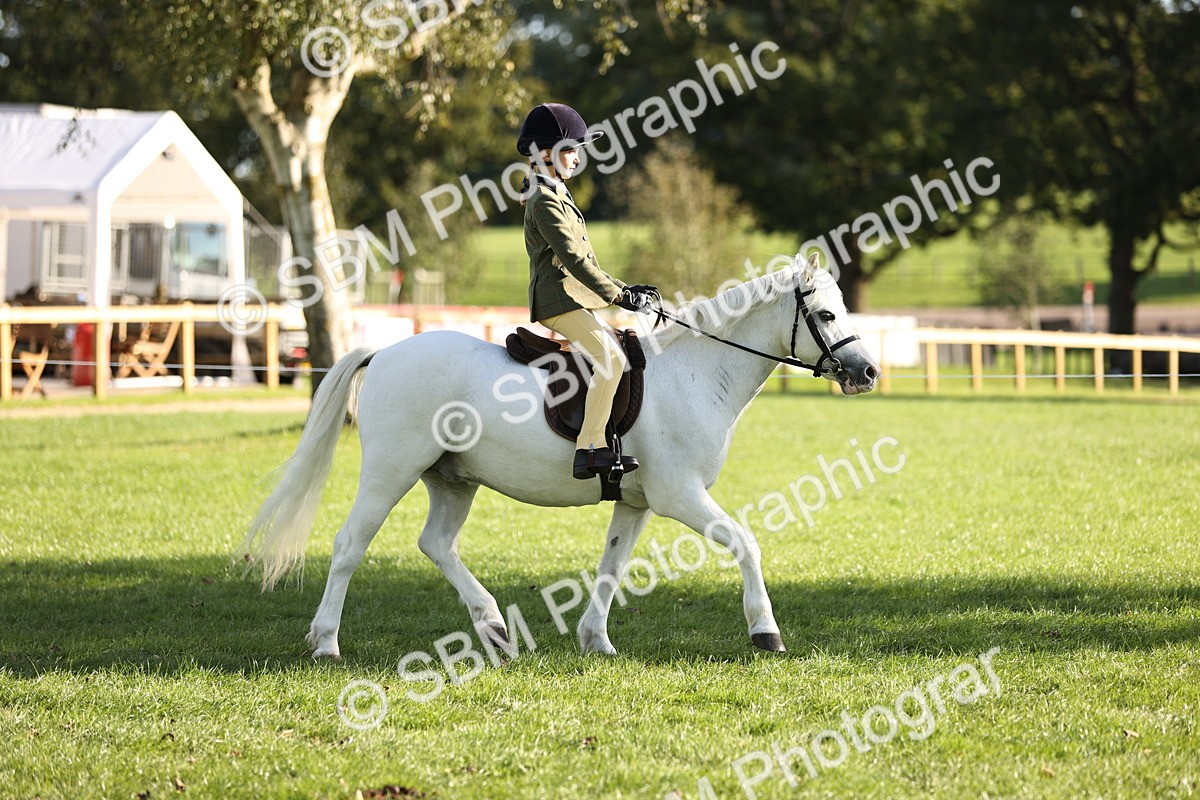 SBM_29310 - S7 - Novice & Newcomers Ridden Pony