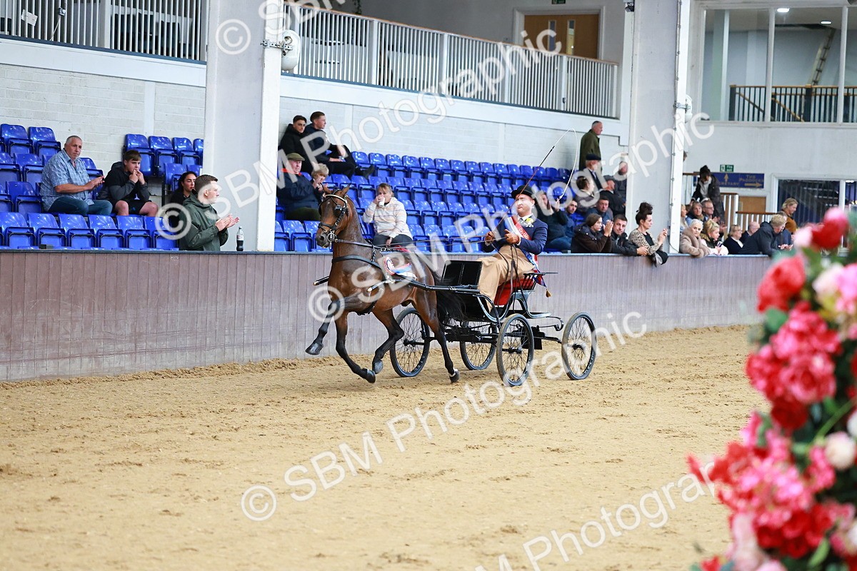 SBM_000683 - Class 9 - HHS Championship Intl Hackney Pony to a Showwagon
