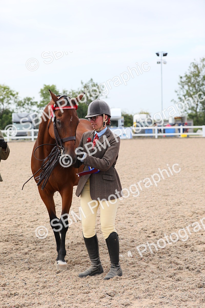 SBM_15967 - Class 313 IH Retired Racehorse