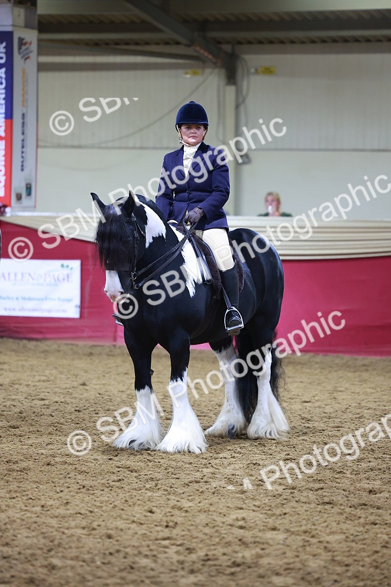 SBM_14909 - Class L - Coloured Champ