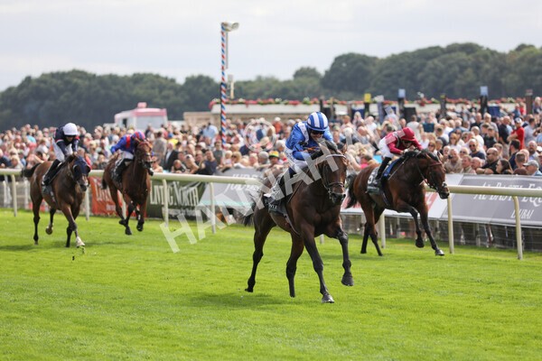 yr17082022r4-71 - Race 4 3.35pm Juddmonte International Stakes (British Champions Series Race)