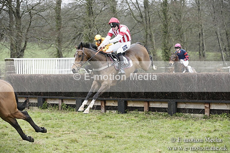 PtP 020418 -143 - Old Berks Point-to-Point Races Easter Monday 02/04/18