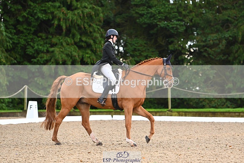 231021-092141-12512 - 223-RASCAL.ROULETTE-Charlotte.Byrnes-DR