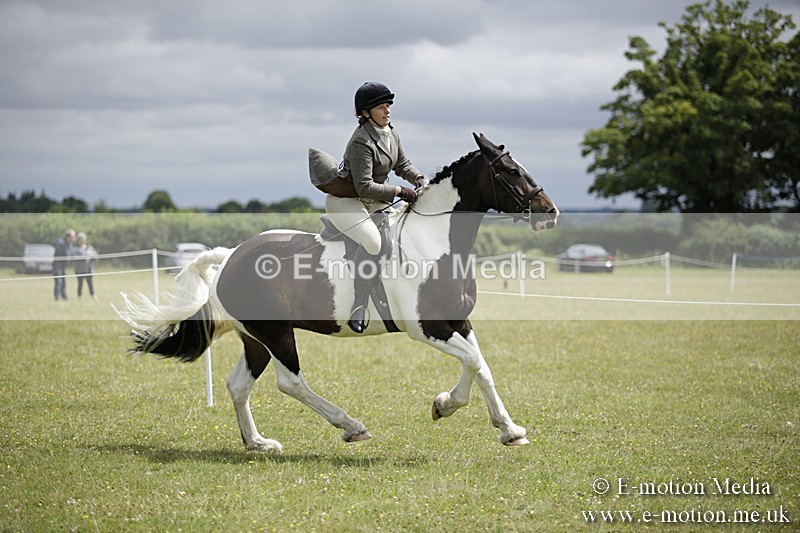 BVR160717-1906 - Ring 1 BVRC Show 16/07/17