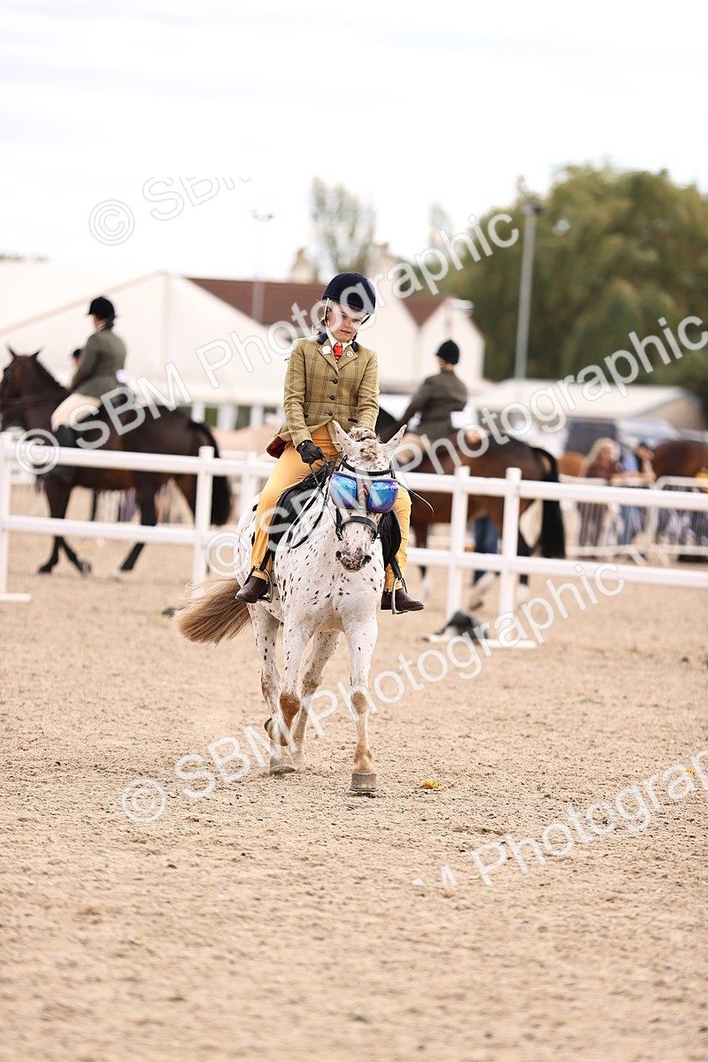 SBM_18069 - Class 422 - Equitation (Best Rider) Jnr