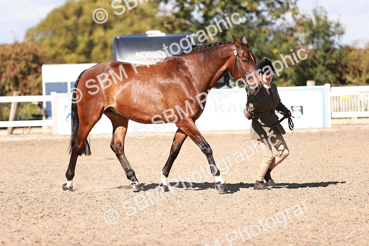 SBM_13295 - class 406 - IH Hunter