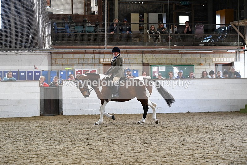 WJ5_6061 - Class 9 Ridden Veteran