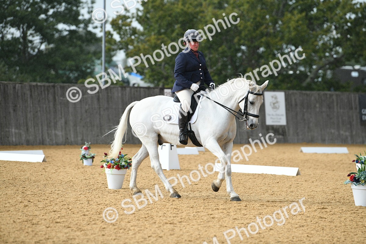 SBM_11118 - D28 Elementary Taster Elementary 42