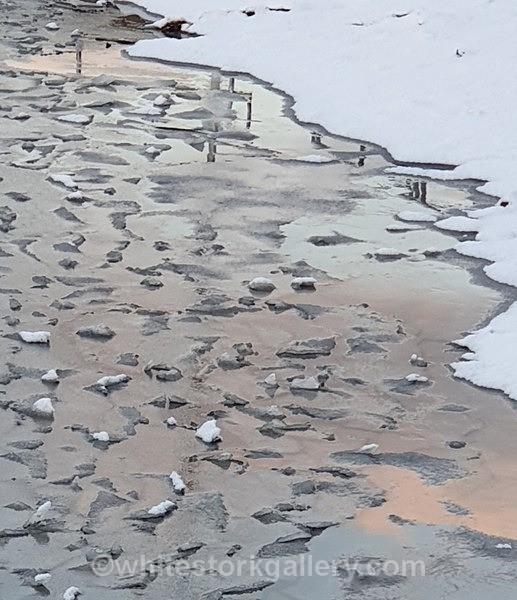  - NEW Winter Reflection