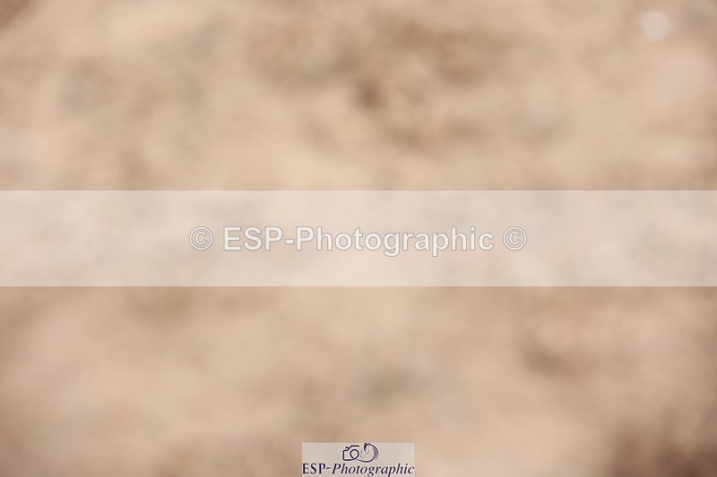 241117X-135747-04927 - Cls 35s A&B Winter-Summer