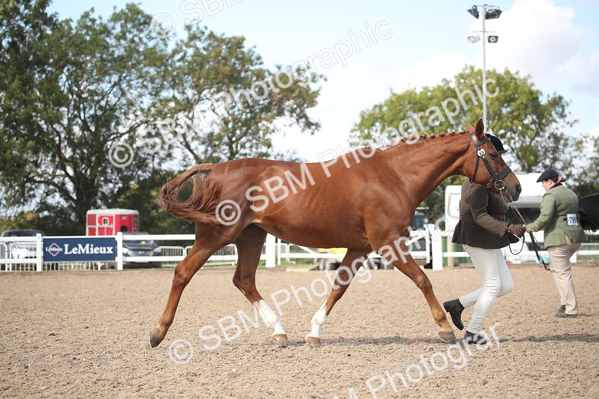 SBM_23091 - Class 606 - 2026 - Area - IH Pre Vet