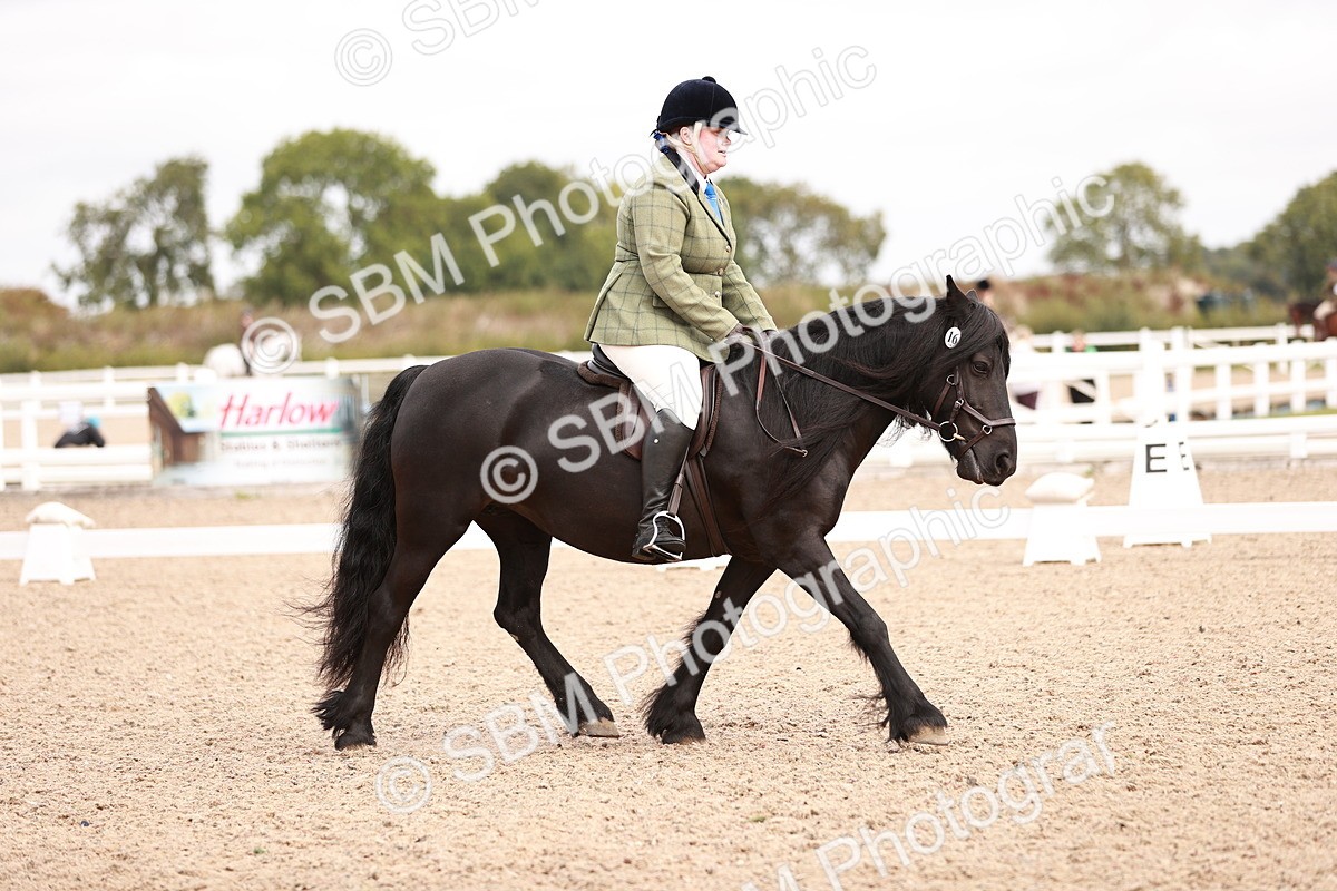 SBM_02451 - Class 35 - Intro 3