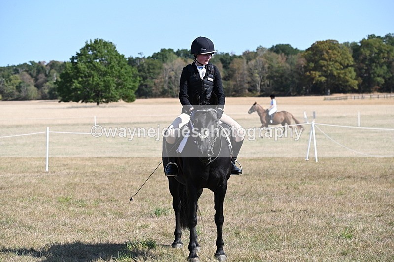 WJ6_7700 - Class 34 Judges Choice