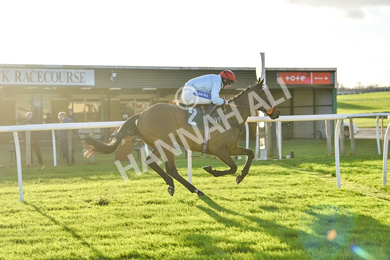 241123-Race 5-Bugise Seagull-7546 - Race 5