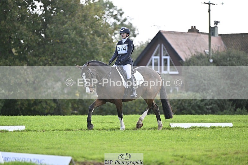 241025-120441-07014 - 374-Bella.Balian-BEECHWOOD.JOEY