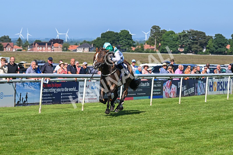 250624-Race 6-Cockalorum-5976 - Race 6